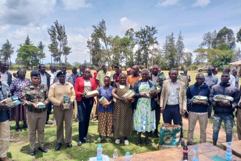 thousands-of-farmers-to-benefit-from-free-sunflower-seeds