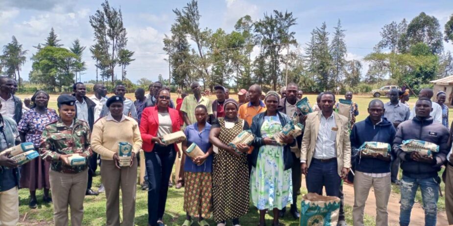 thousands-of-farmers-to-benefit-from-free-sunflower-seeds