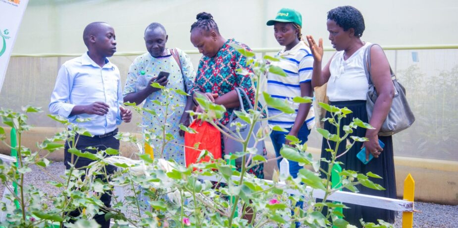 Nakuru ASK Show 2024 (2)