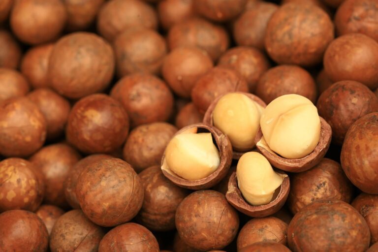 declaration-and-submission-of-macadamia-stocks declaration-and-submission-of-macadamia-stocks