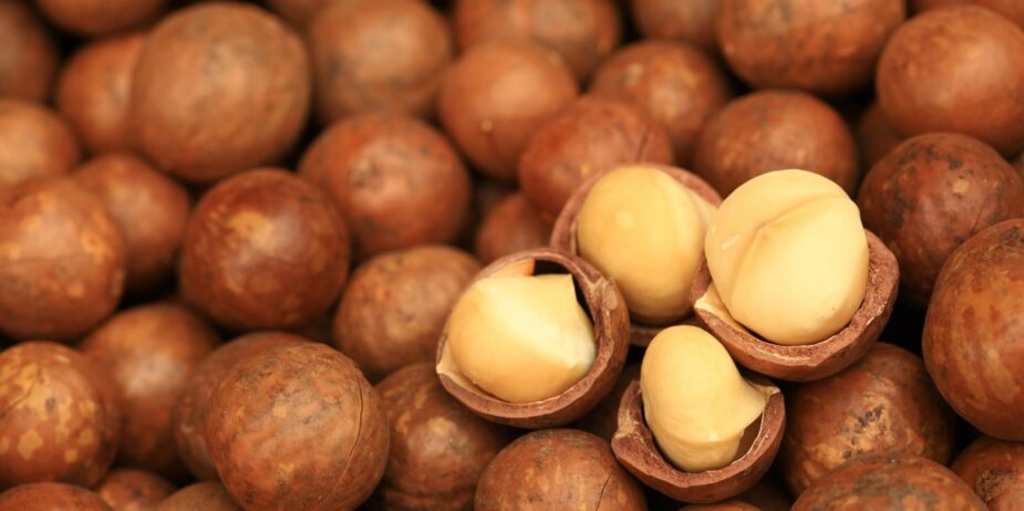 declaration-and-submission-of-macadamia-stocks declaration-and-submission-of-macadamia-stocks