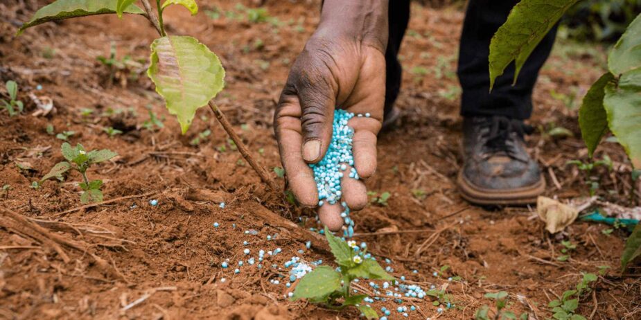 Fertilizer Subsidy 2022