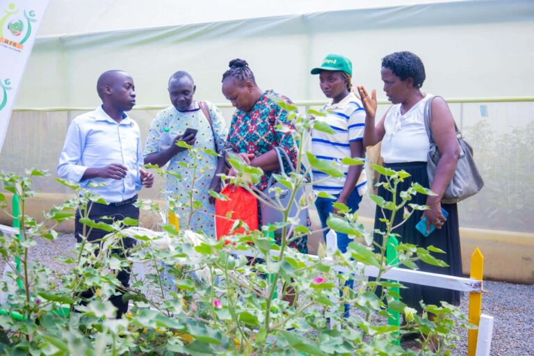 nakuru-ask-show-fibre