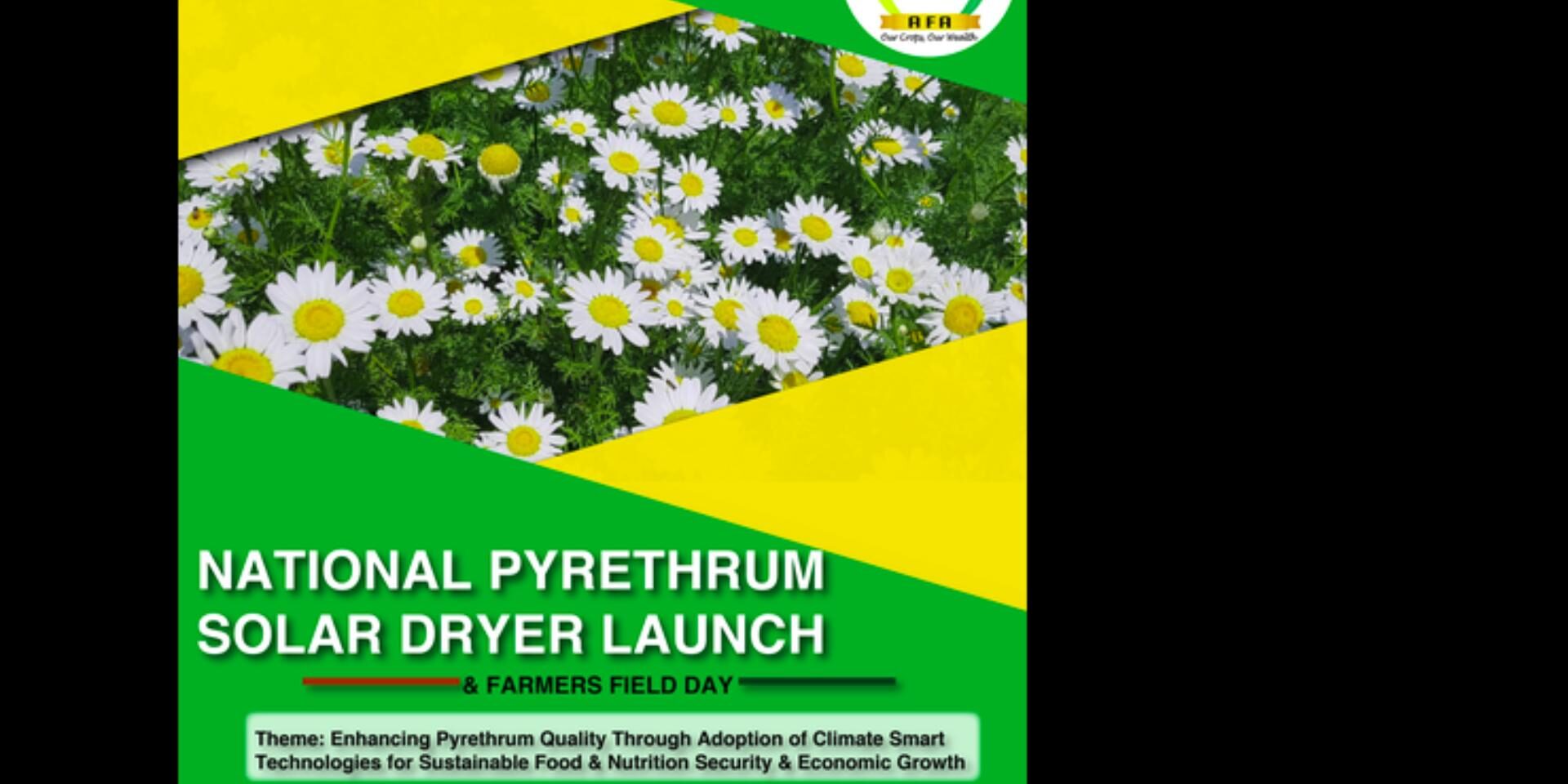 national-pyrethrum-solar-dryer-launch