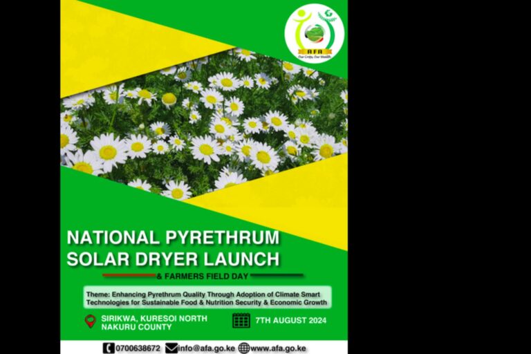 national-pyrethrum-solar-dryer-launch