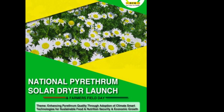 national-pyrethrum-solar-dryer-launch
