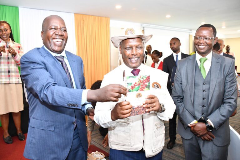 new-look--new-plans-