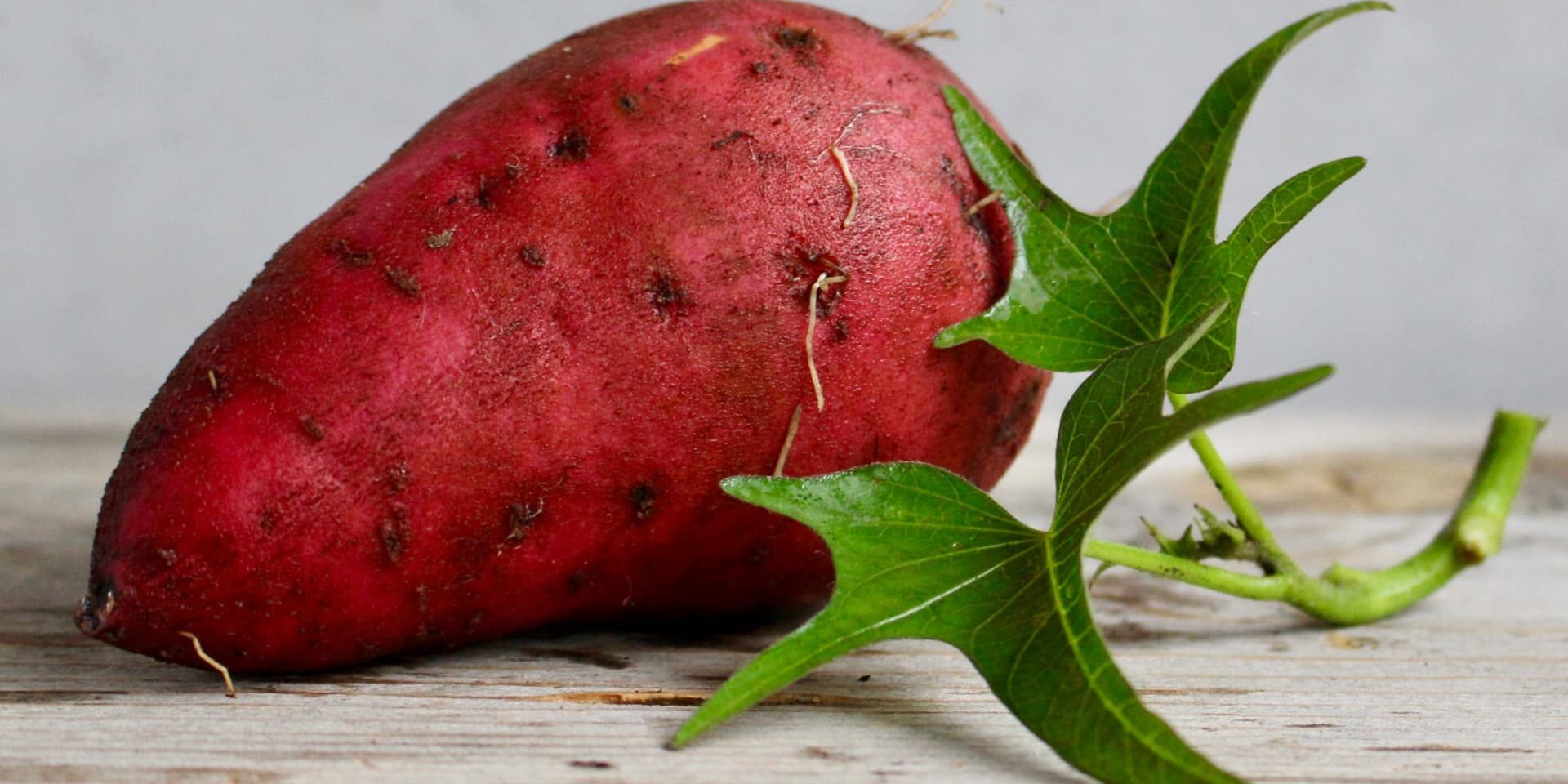 Sweet-potato-growing-guide---best-practices-for-a-bountiful-harvest