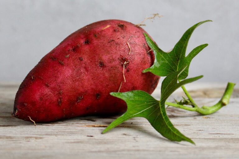 Sweet-potato-growing-guide---best-practices-for-a-bountiful-harvest